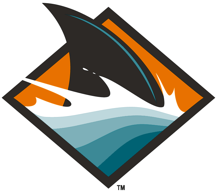 San Jose Sharks 2008-Pres Alternate Logo DIY iron on transfer (heat transfer)